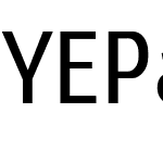 YE Paradigma Regular Condensed