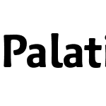 Palatino Sans Com