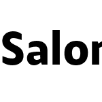 Salom Sans