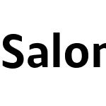 Salom Sans