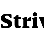 Striver Micro