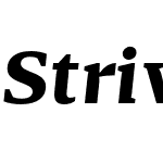 Striver Micro