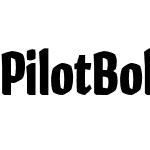 Pilot Bold