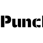 Punch Pro Sans