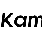 Kamerik 105