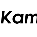 Kamerik 105