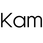 Kamerik 105