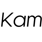 Kamerik 105