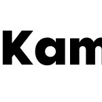 Kamerik 105