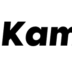 Kamerik 105