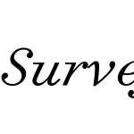 Surveyor Text