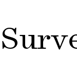 Surveyor Text