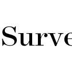 Surveyor Display