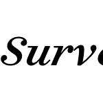 Surveyor Text