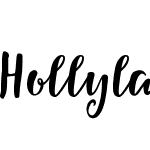 Hollyland