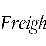 FreightDispW03-BookItalic