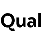 Qualion Text