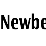 Newbery Sans