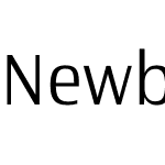 Newbery Sans Pro