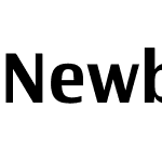 Newbery Sans