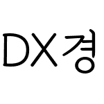 DX경필명조B