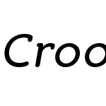 Croog Pro