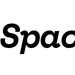 SpaceMono Nerd Font Mono