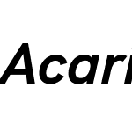 Acari Sans