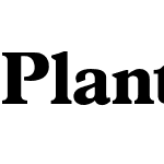 Plantain