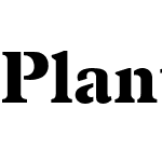 Plantain