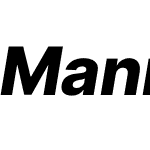 Manix Sans HL