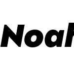 Noah Head