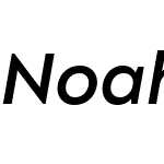 Noah Head