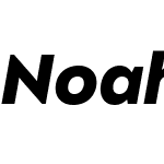 Noah Head