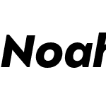 Noah Head