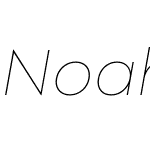 Noah Head