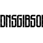 DNS Gibsons One