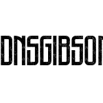 DNS Gibsons One