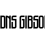 DNS Gibsons One