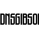 DNS Gibsons One