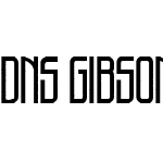 DNS Gibsons One