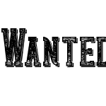 Wanted Denim