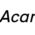 Acari Sans Neue