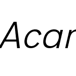 Acari Sans Neue