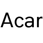 Acari Sans Neue