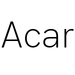 Acari Sans Neue