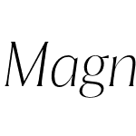 Magnolia