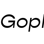 Gopher Text