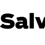 Salvo Sans