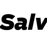 Salvo Sans